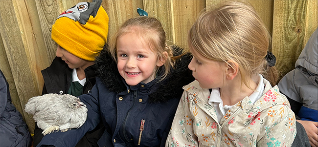 Welcome to our new website!